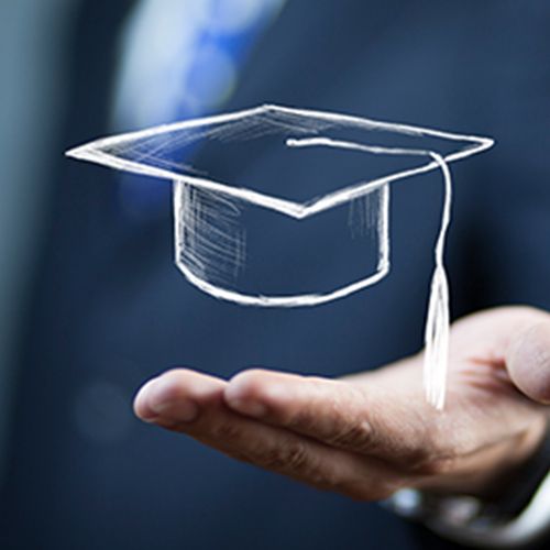 Laporan Expert Judgement Skripsi: Format & Contoh